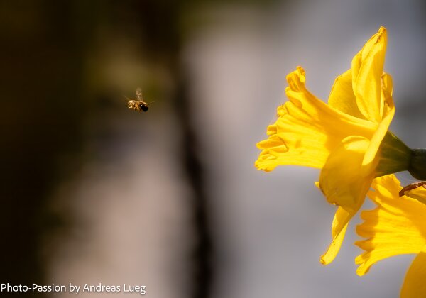 Floral! Floral! Unterschiedliche Aufnahmen, die alle einen Aspekt urbanen Lebens wiedergeben. Von der Brücke in Kopenhagen mit...